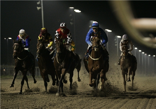 Et felt på dirttrackbanen, opplyst av flomlys