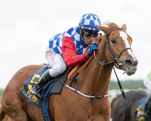 Ascot Brass Foto Svensk Galopp Ascot Brass Foto Svensk Galopp