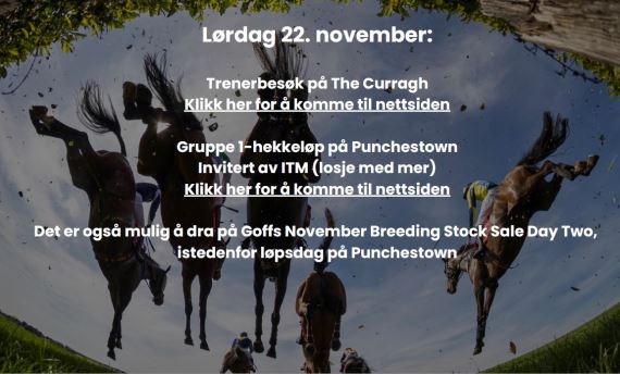 Artikkelbilde