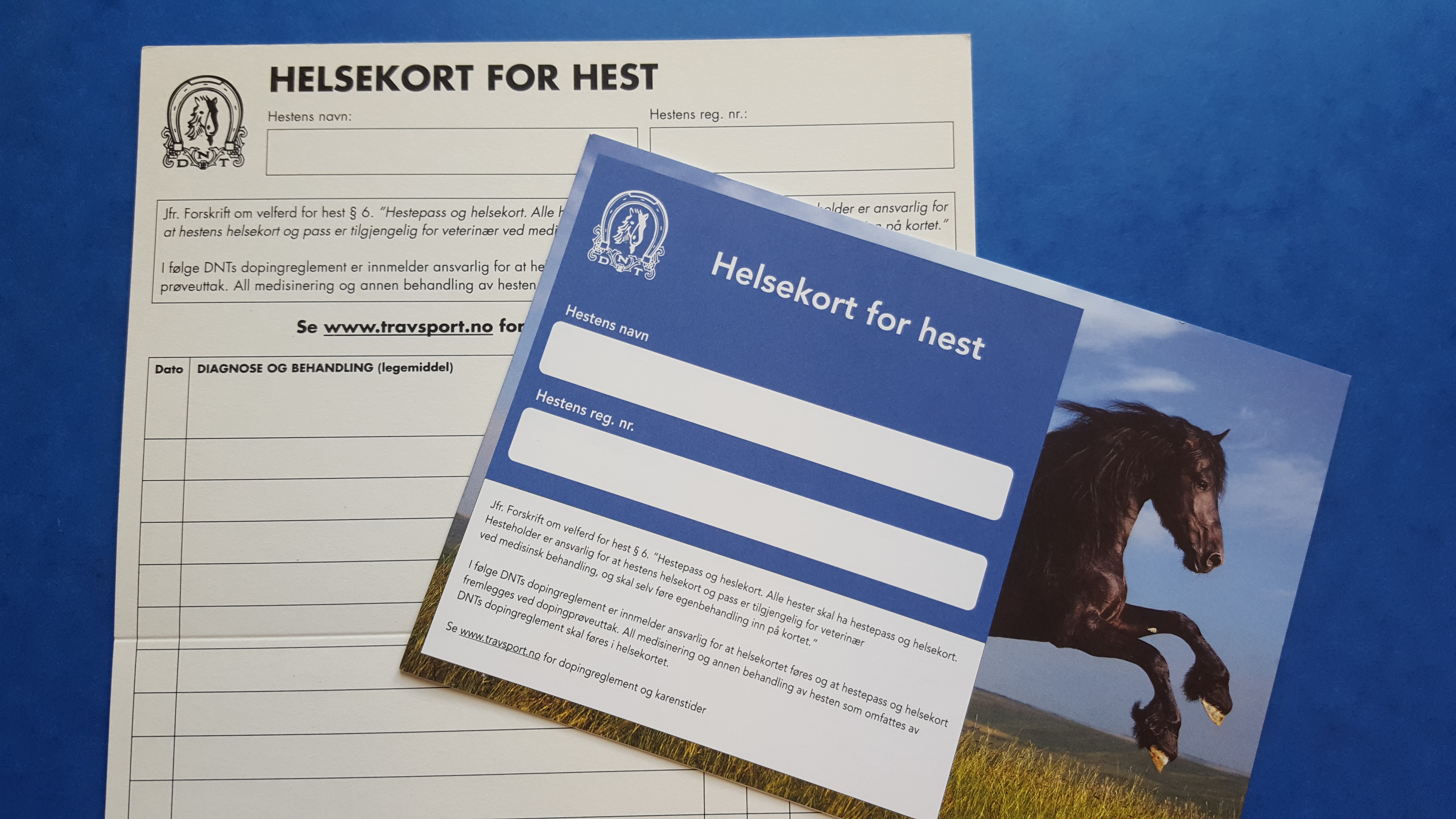 Helsekortet er dokumentasjon på behandlingene hesten har fått