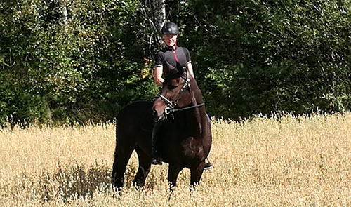 Angelica Bjørnhild Kvitblikk Angelica Bjørnhild Kvitblikk