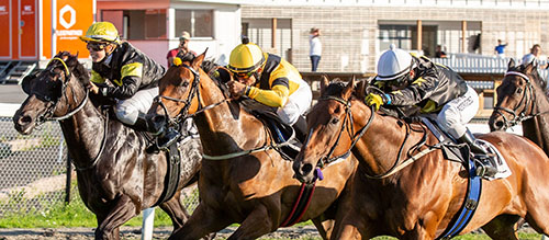 Madi Banja ©hesteguiden.com Madi Banja ©hesteguiden.com