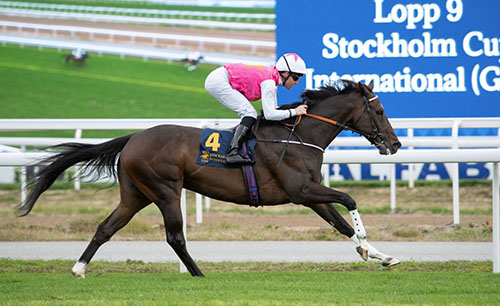 Square de Luynes Foto: Svensk Galopp