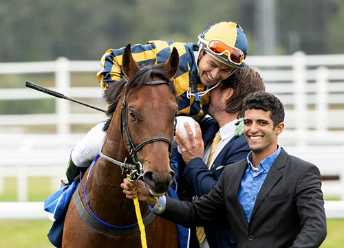 Hotline Bling. Foto Svensk Galopp