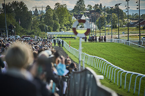 Publikum Norsk Derby 2024. Foto Malene Nilssen Publikum Norsk Derby 2024. Foto Malene Nilssen