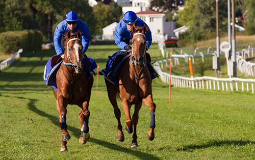 Derbygalopp Derbygalopp