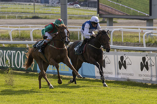 Approach Glory ©hesteguiden.com Approach Glory ©hesteguiden.com
