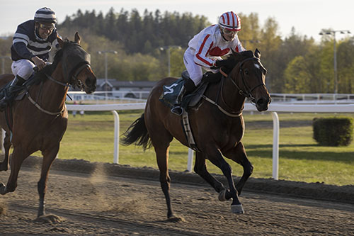 Macho Maja med Mie Blichfeldt