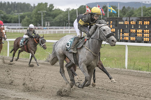 Greycious Girl ©hesteguiden.com