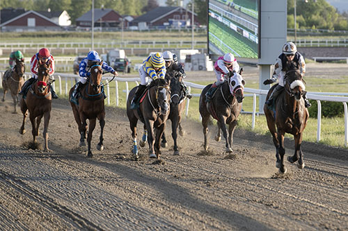 Punktum Finale ©hesteguiden.com