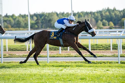 Crystal Love. Foto Svensk Galopp Crystal Love. Foto Svensk Galopp