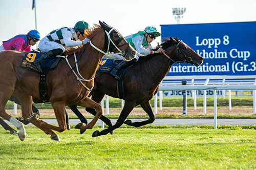 Hard One To Please knapt slått i Stockholm Cup. Foto Svensk Galopp Hard One To Please knapt slått i Stockholm Cup. Foto Svensk Galopp