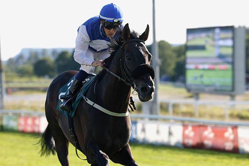 Ami De Vega ©hesteguiden.com