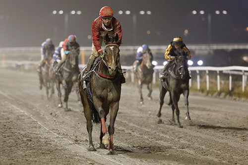 Elegant Rock ©hesteguiden.com Elegant Rock ©hesteguiden.com