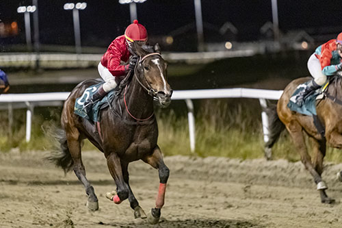 Elegant Rock ©hesteguiden.com Elegant Rock ©hesteguiden.com