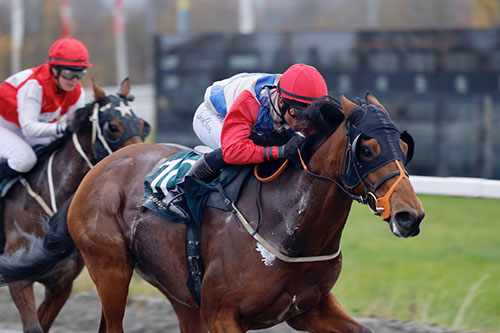 Spirit of Cimarron ©hesteguiden.com