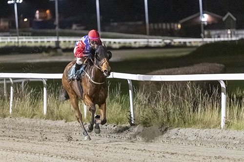 Spirit of Cimarron ©hesteguiden.com Spirit of Cimarron ©hesteguiden.com