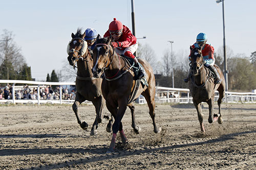 Elegant Rock ©hesteguiden.com