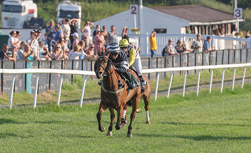 Queen Of Hearts ©hesteguiden.com Queen Of Hearts ©hesteguiden.com