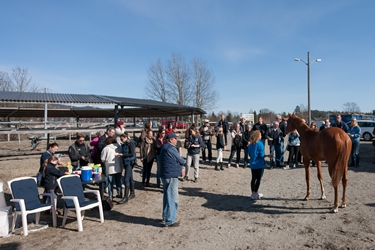 På Soltun serverte Soma og Olai-Olssen pølser mens de viste frem sine hester På Soltun serverte Soma og Olai-Olssen pølser mens de viste frem sine hester.